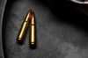 Gun and Ammo
