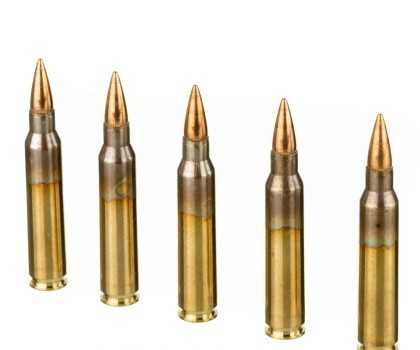 Guns for sales