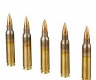 Guns for sales