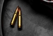 Gun and Ammo